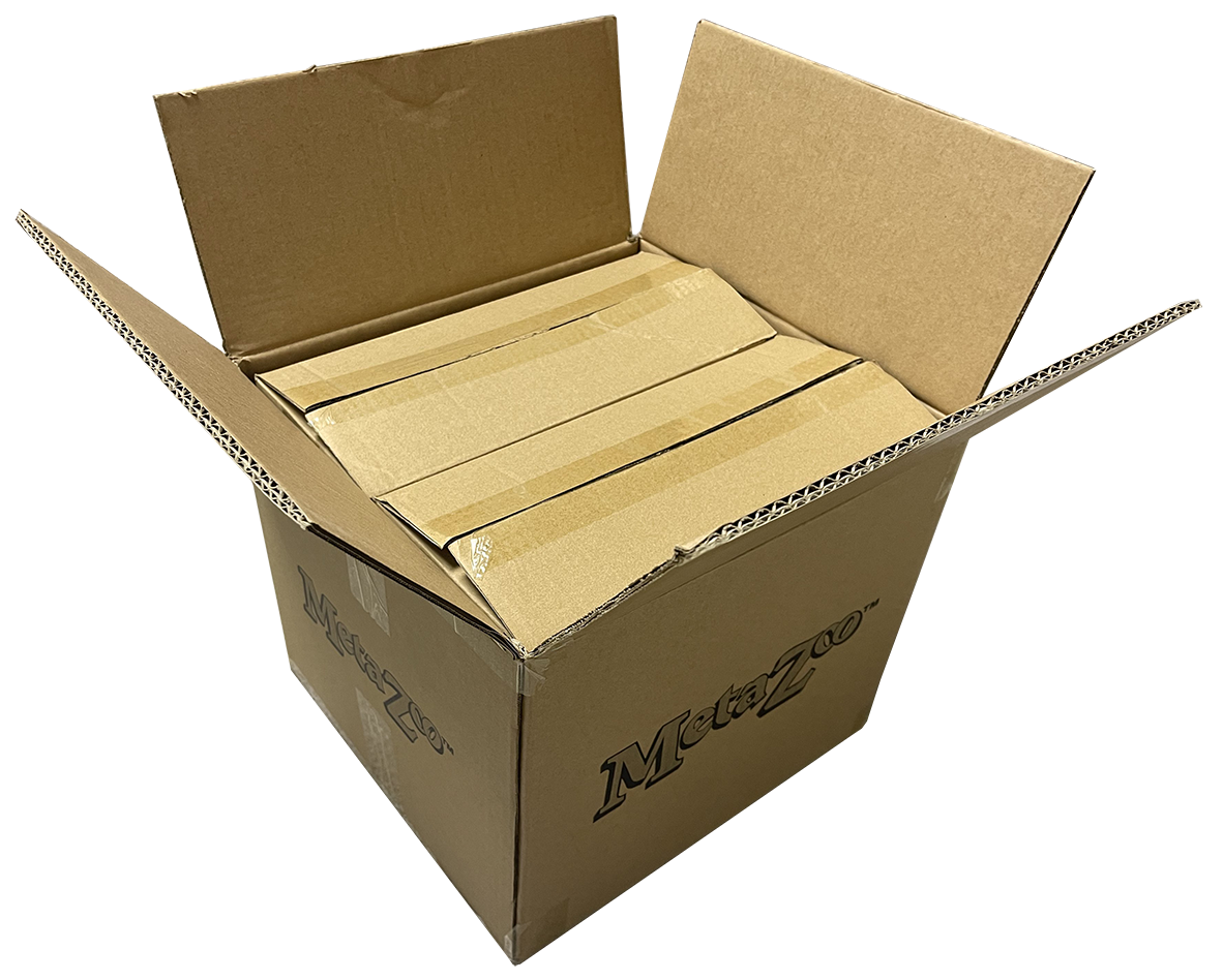 MetaZoo Cryptid Nation NIGHTFALL 1st Edition Booster Box MASTERCase